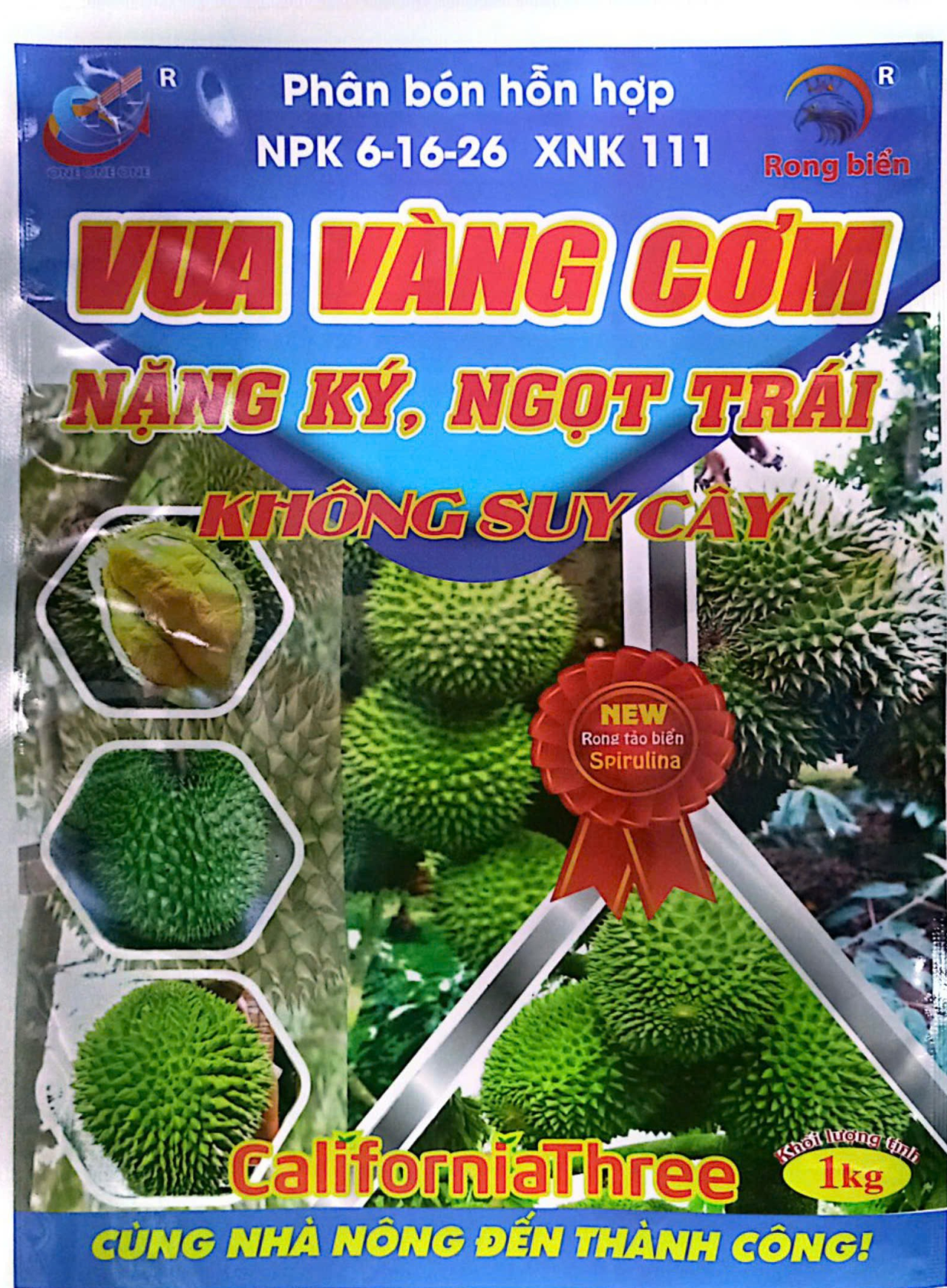 6-16-26 XNK 111 Vua Vàng Cơm, Nặng Ký, Ngọt Trái