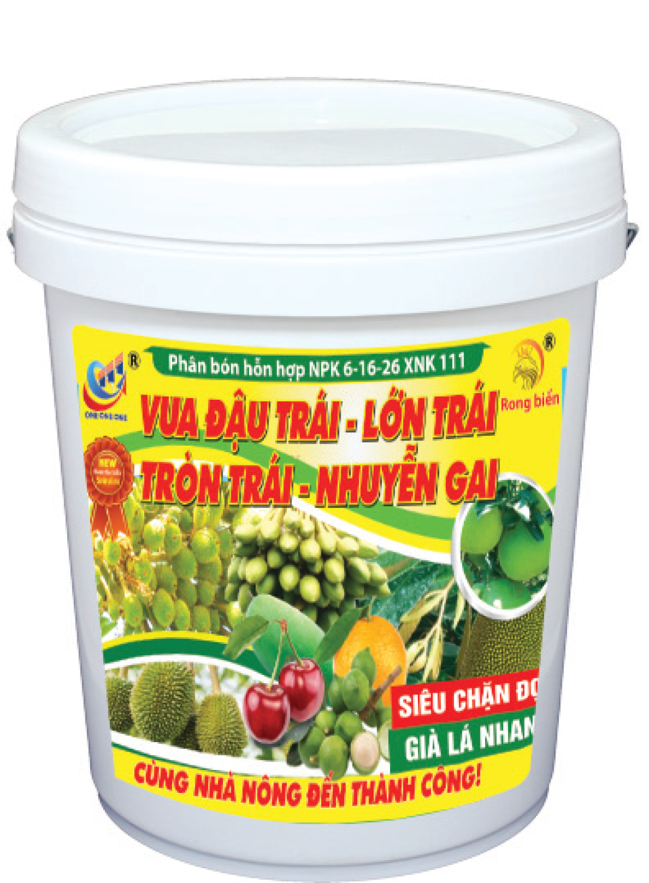 6-16-26 XNK 111 Vua đậu trái - Lớn trái 18KG