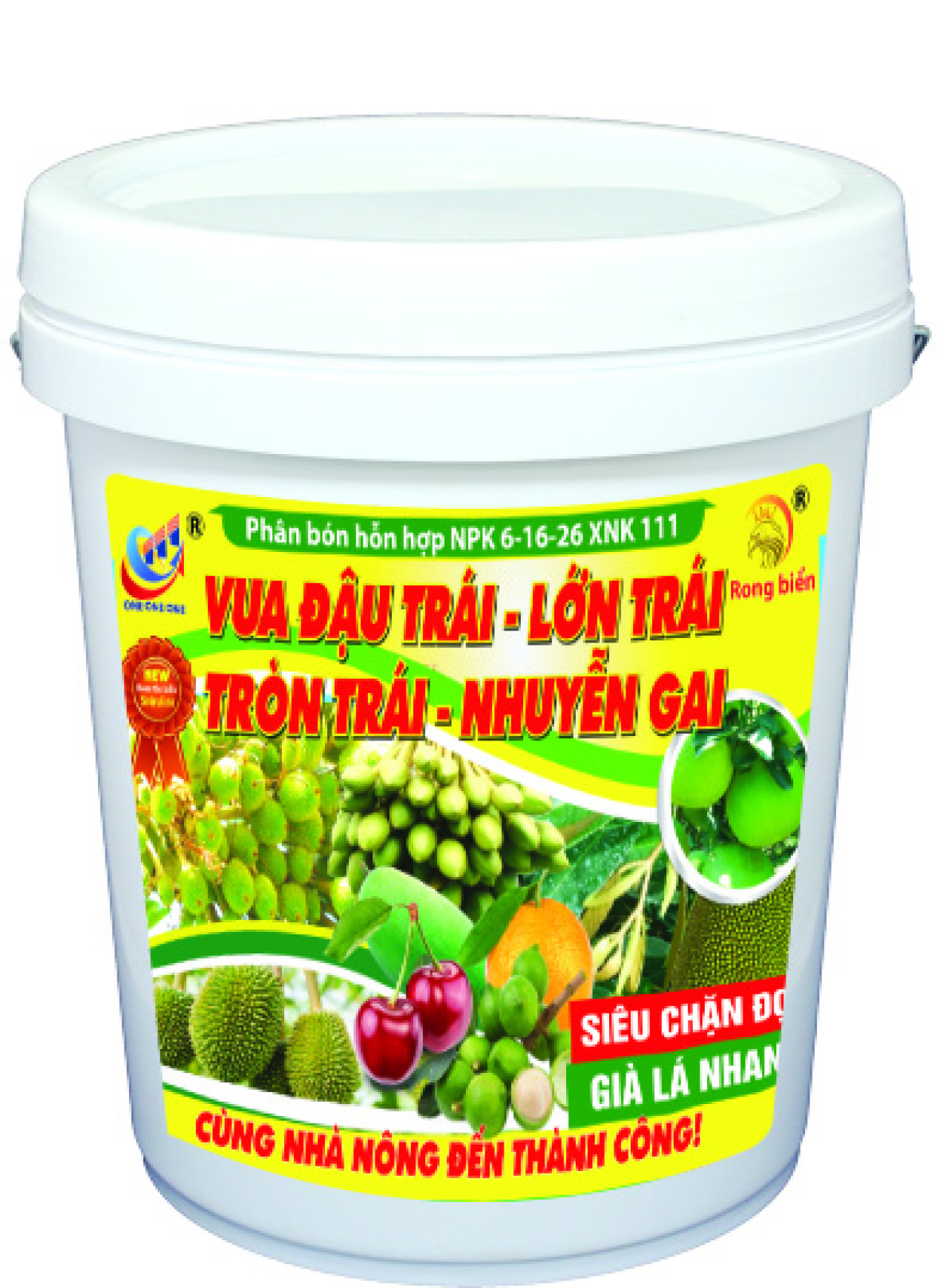 6-16-26 XNK 111 Vua đậu trái - Lớn trái 9KG