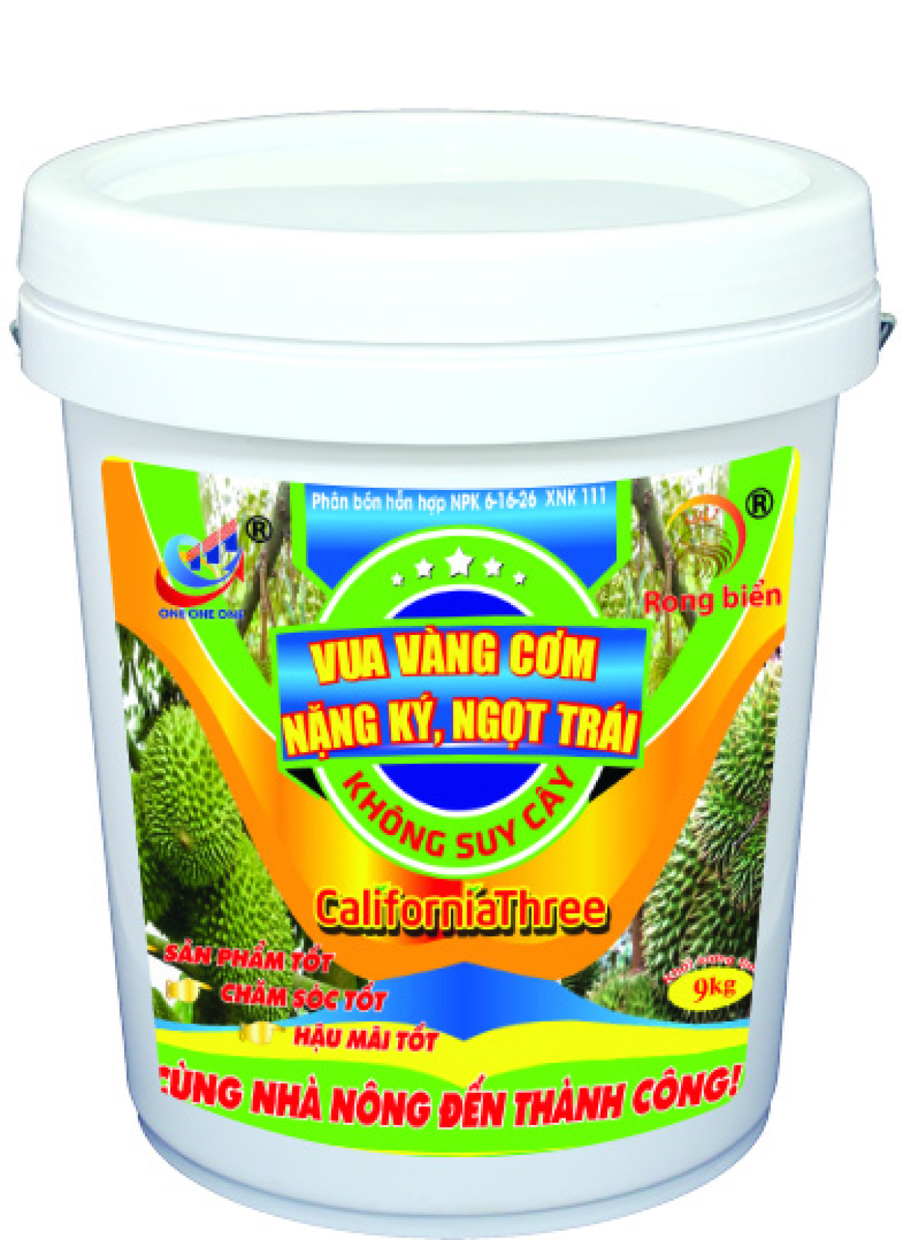 6-16-26 XNK 111 Vua Vàng Cơm, Nặng Ký, Ngọt Trái 9KG