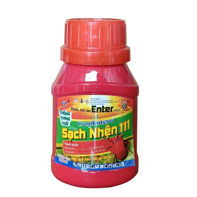 CROPKOTE NHỆN ENTER 111 