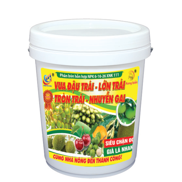 6-16-26 XNK 111 Vua đậu trái - Lớn trái 18KG
