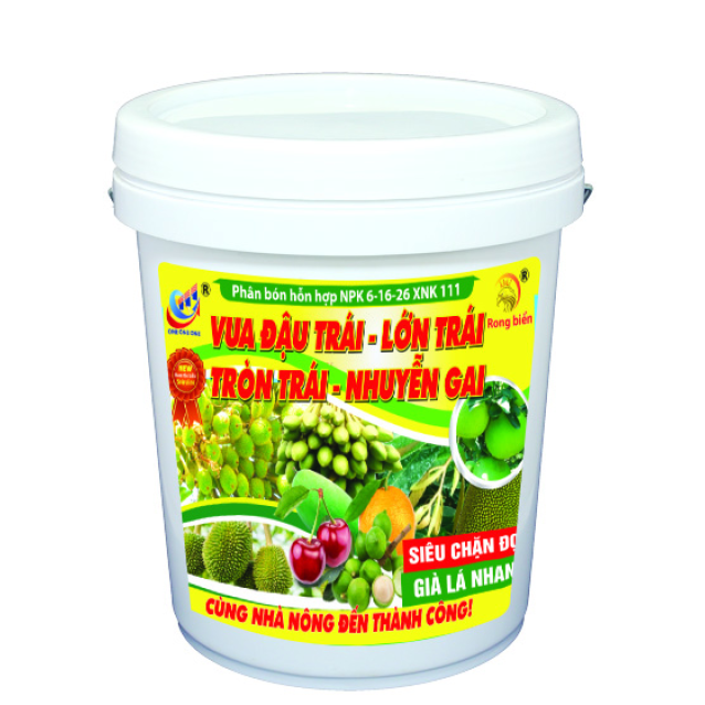 6-16-26 XNK 111 Vua đậu trái - Lớn trái 9KG