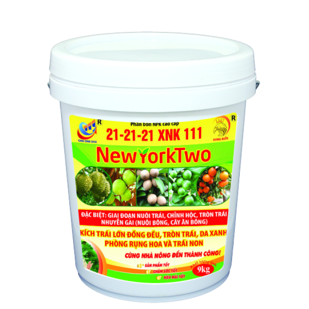 21-21-21 XNK 111 NewYorkTwo Nuôi Trái 9 KG