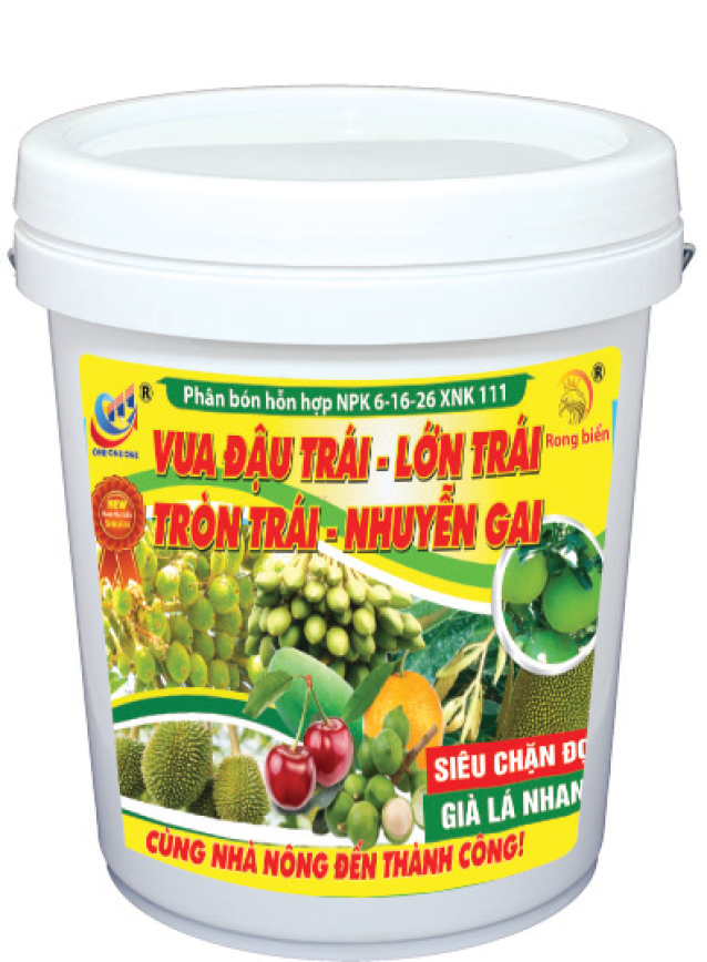 6-16-26 XNK 111 Vua đậu trái - Lớn trái 18KG