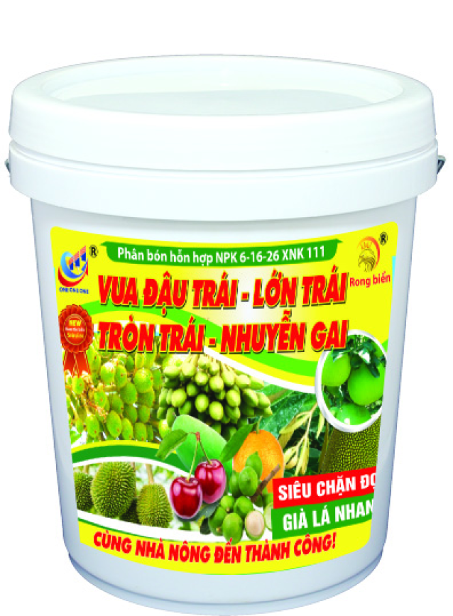 6-16-26 XNK 111 Vua đậu trái - Lớn trái 9KG